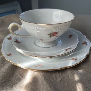 Bavaria Western Germany Elfenbein Rose Bud Pattern Tea Cup Saucer Plate 3 pc